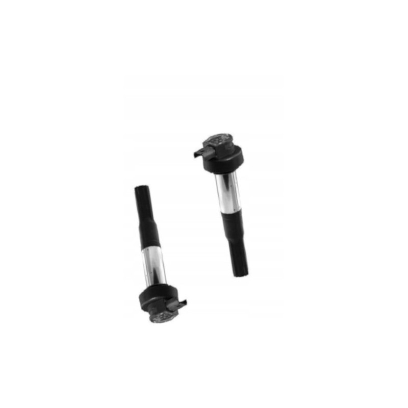 CEWKO FAJKA ZAPŁONOWA CEWKA BERU 2SZT DO MOTOCYKLA BMW K 1300 K1300 GT