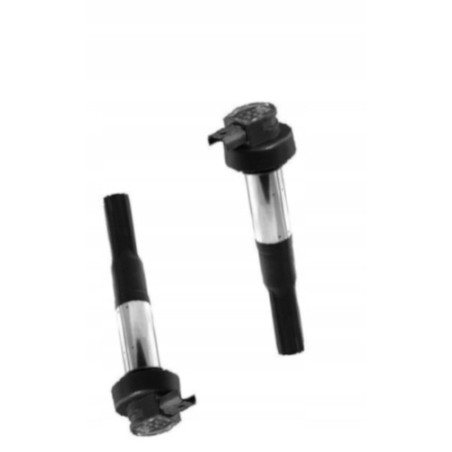 CEWKO FAJKA ZAPŁONOWA CEWKA BERU 2SZT DO MOTOCYKLA BMW K 1300 K1300 GT