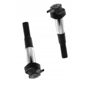 CEWKO FAJKA ZAPŁONOWA CEWKA BERU 2SZT DO MOTOCYKLA BMW K 1300 R,S 2009-2015