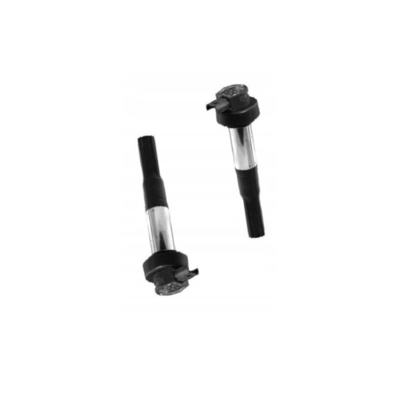 CEWKO FAJKA ZAPŁONOWA CEWKA BERU 2SZT DO MOTOCYKLA BMW K 1300 R,S 2009-2015