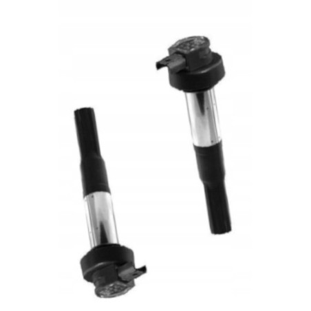 CEWKO FAJKA ZAPŁONOWA CEWKA BERU 2SZT DO MOTOCYKLA BMW F 800 F800 S 06-10