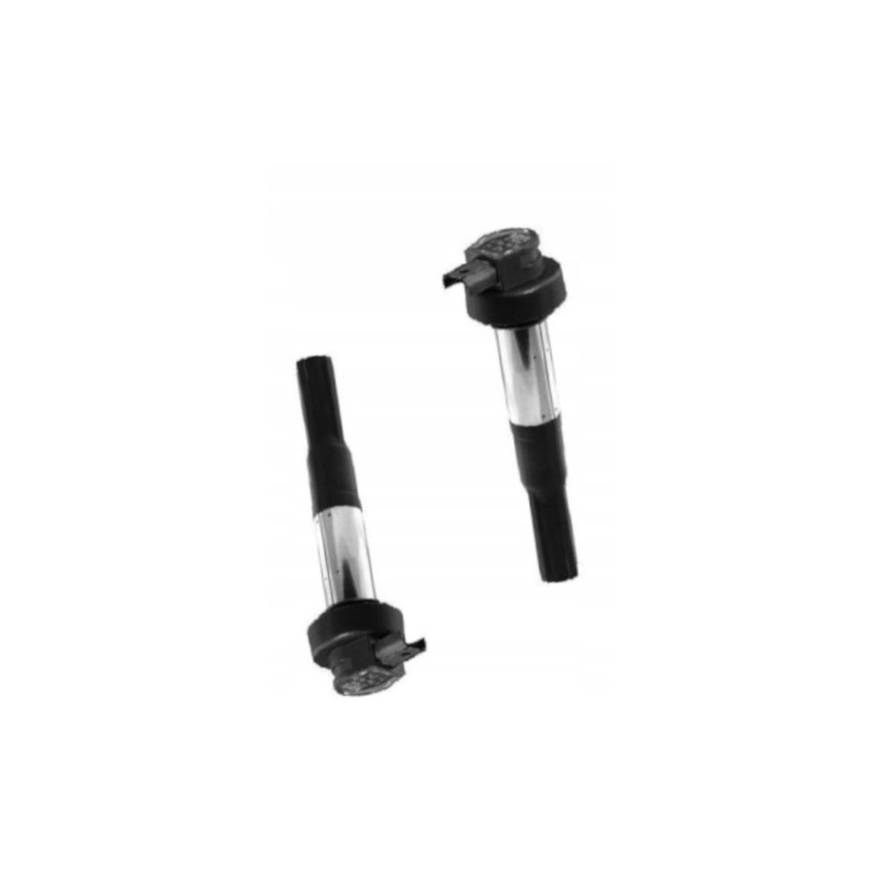 CEWKO FAJKA ZAPŁONOWA CEWKA BERU 2SZT DO MOTOCYKLA BMW F 800 F800 R 09-16