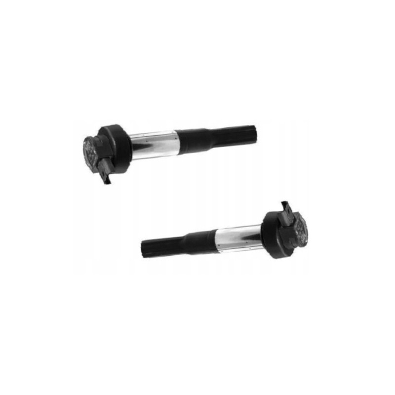 CEWKO FAJKA ZAPŁONOWA CEWKA BERU 2SZT DO MOTOCYKLA BMW F 700 F700 GS 13-17