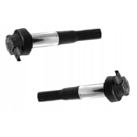 CEWKO FAJKA ZAPŁONOWA CEWKA BERU 2SZT DO MOTOCYKLA BMW F 700 F700 GS 13-17