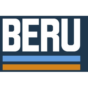 CEWKO FAJKA ZAPŁONOWA CEWKA BERU 2SZT DO MOTOCYKLA BMW F 700 F700 GS 13-17