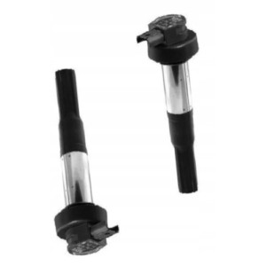 CEWKO FAJKA ZAPŁONOWA CEWKA BERU 2SZT DO MOTOCYKLA BMW F 650 F650 GS 08-12