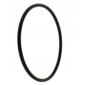 USZCZELKA O-RING MODUŁU POMPY PALIWA DO MOTOCYKLA BMW R 1200 R1200 97-2005