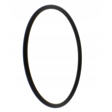 USZCZELKA O-RING MODUŁU POMPY PALIWA DO MOTOCYKLA BMW R 1150 R1150 99-2006