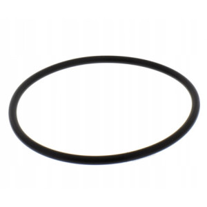 USZCZELKA O-RING MODUŁU POMPY PALIWA DO MOTOCYKLA BMW R 1100 R1100 92-2005