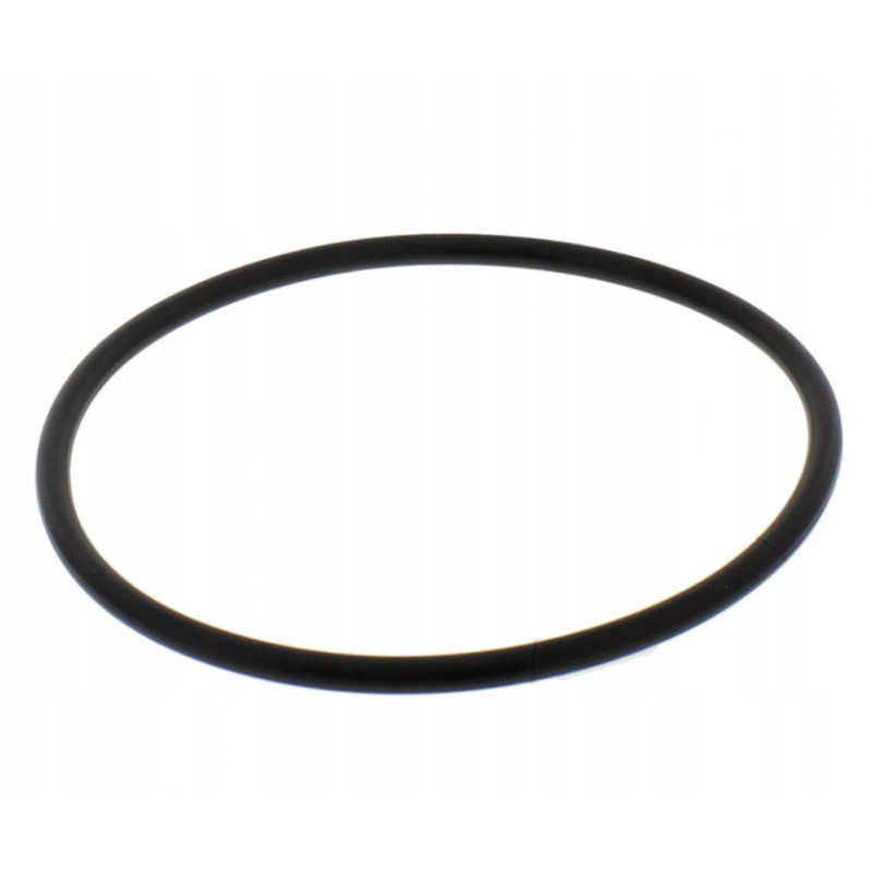 USZCZELKA O-RING MODUŁU POMPY PALIWA DO MOTOCYKLA BMW R 1100 R1100 92-2005