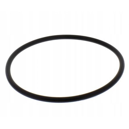 USZCZELKA O-RING MODUŁU POMPY PALIWA DO MOTOCYKLA BMW R 1100 R1100 92-2005