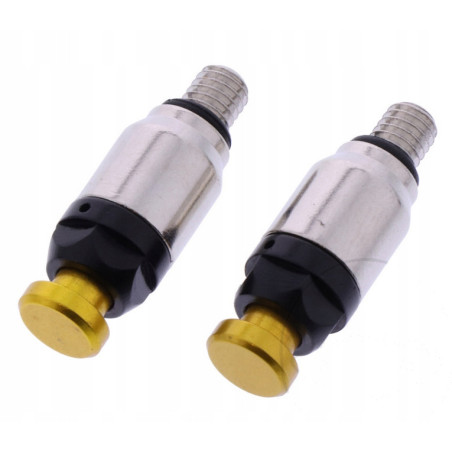 ODPOWIETRZNIKI AMORTYZATORÓW WIDELCA TELESKOPÓW PRZÓD M5 ZŁOTE