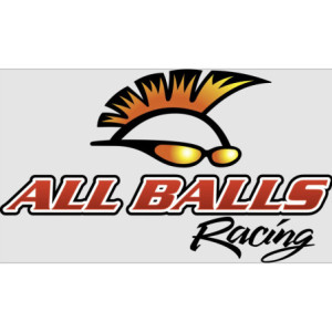 CIĘGNO LINKA SPRZĘGŁA ALL BALLS DO MOTOCYKLA YAMAHA WR 250 WR250 2008-2016