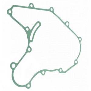 USZCZELKA POKRYWY KAPY ALTERNATORA KTM RC 125 2014 - 2016