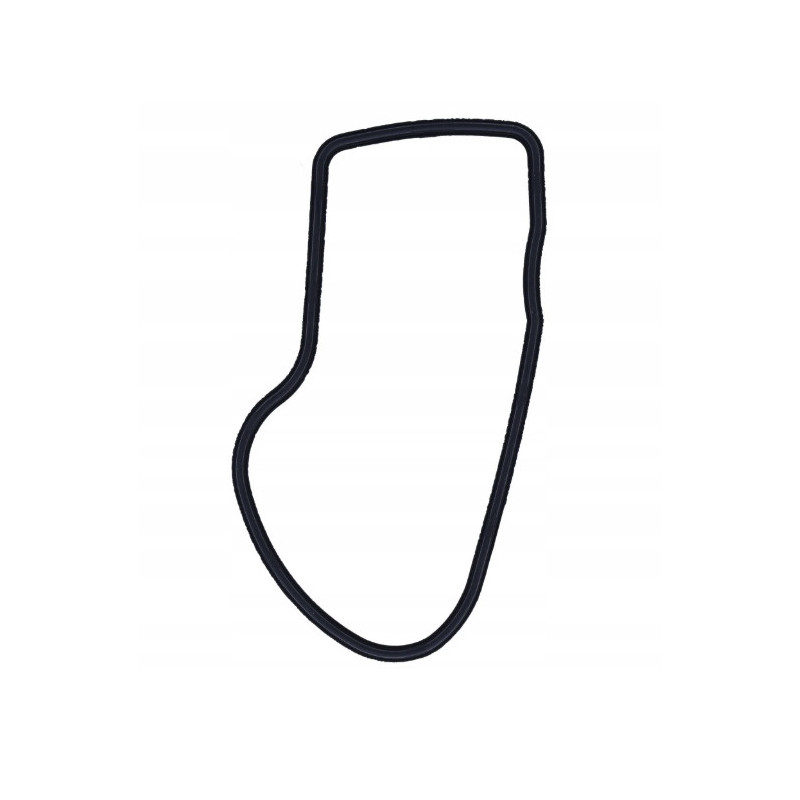 USZCZELKA POKRYWY ZAWOROWEJ KAPY OEM ROYAL ENFIELD CONTINENTAL 535 2014-19