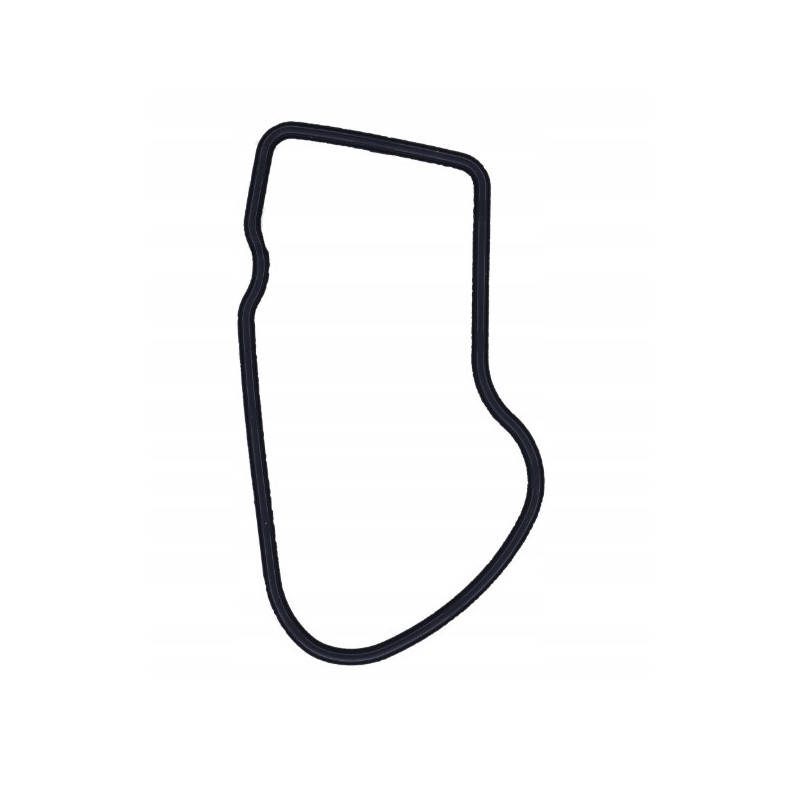 USZCZELKA POKRYWY ZAWOROWEJ KAPY OEM ROYAL ENFIELD CONTINENTAL 535 2014-19