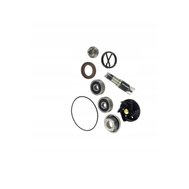 ZESTAW NAPRAWCZY POMPY WODY JMP DO MOTOCYKLA PIAGGIO X9 250 2000-2002