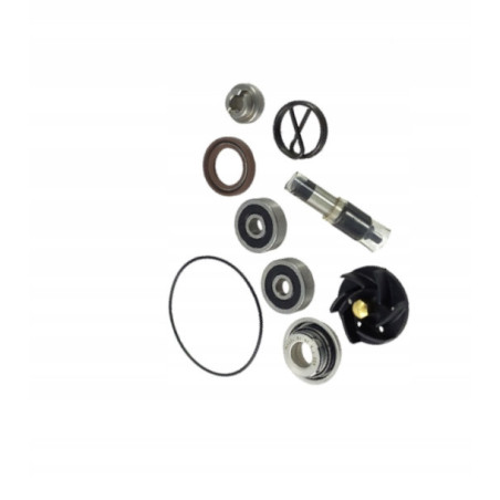 ZESTAW NAPRAWCZY POMPY WODY JMP DO MOTOCYKLA PIAGGIO X9 125 EVOLUTION 05-07