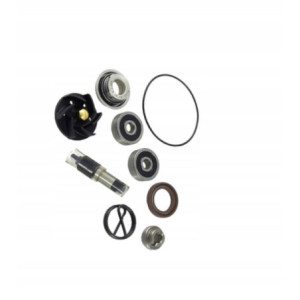 ZESTAW NAPRAWCZY POMPY WODY JMP DO MOTOCYKLA PIAGGIO X10 125 4V 2012-2016