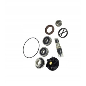ZESTAW NAPRAWCZY POMPY WODY JMP DO MOTOCYKLA GILERA NEXUS 300 IE 2009-2014