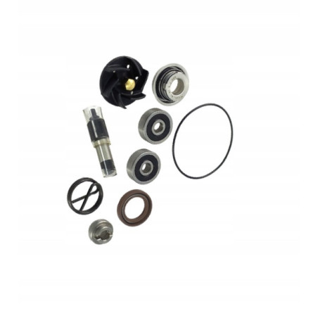 ZESTAW NAPRAWCZY POMPY WODY JMP DO MOTOCYKLA DERBI RAMBLA 300 IE 2010-2014