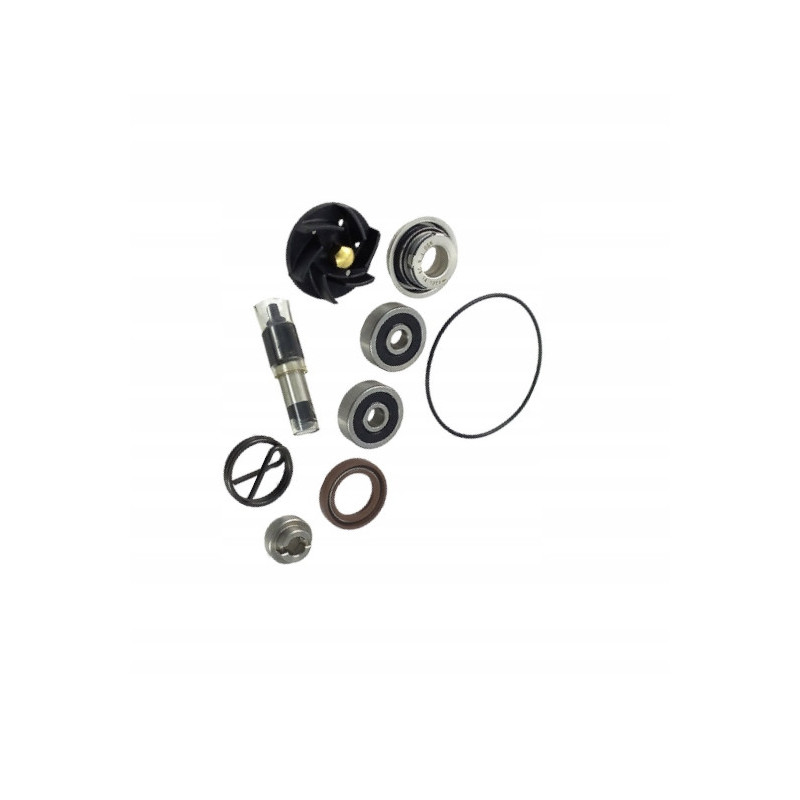 ZESTAW NAPRAWCZY POMPY WODY JMP DO MOTOCYKLA DERBI RAMBLA 250 IE 2008-2010