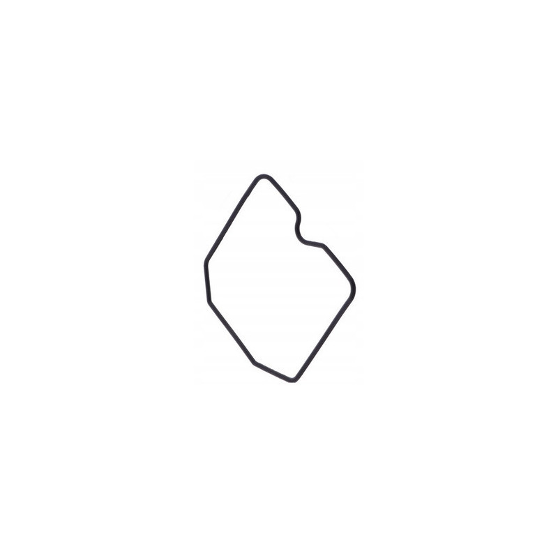 USZCZELKA KOMORY PŁYWAKOWEJ GAŹNIKA TRIUMPH THRUXTON 900 2004 - 2007