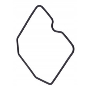 USZCZELKA KOMORY PŁYWAKOWEJ GAŹNIKA TRIUMPH BONNEVILLE 865 2005 - 2007