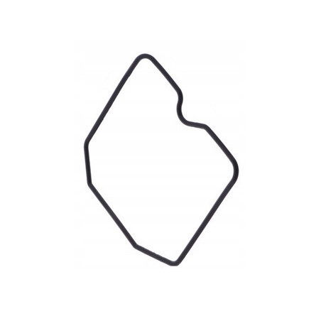 USZCZELKA KOMORY PŁYWAKOWEJ GAŹNIKA TRIUMPH ADVENTURER 900 1999 - 2001