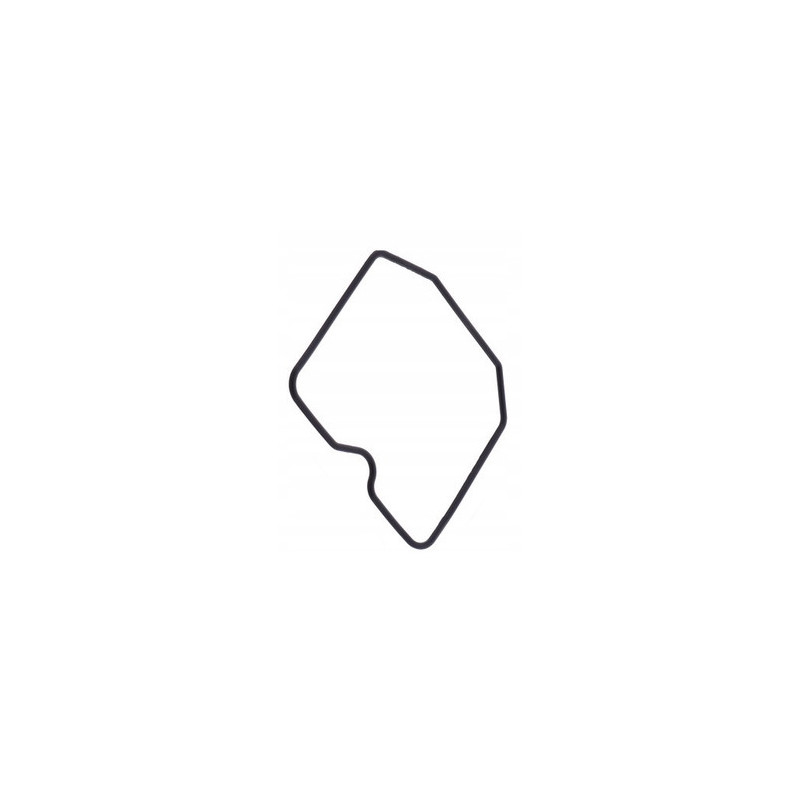 USZCZELKA KOMORY PŁYWAKOWEJ GAŹNIKA KAWASAKI GPZ 900 R NINJA 1984 - 1994