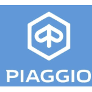 TEMPERATUROWY WŁĄCZNIK WENTYLATORA CHŁODNICY OEM PIAGGIO BEVERLY 125 02-10