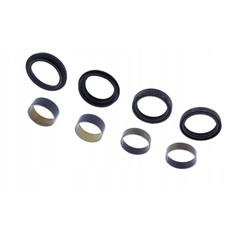 ZESTAW NAPRAWCZY PRZEDNIEGO WIDELCA Z PANEWKAMI TRIUMPH MASTERBLASTER 955