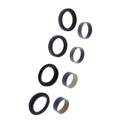 ZESTAW NAPRAWCZY PRZEDNIEGO WIDELCA Z PANEWKAMI JMP TRIUMPH DAYTONA 955