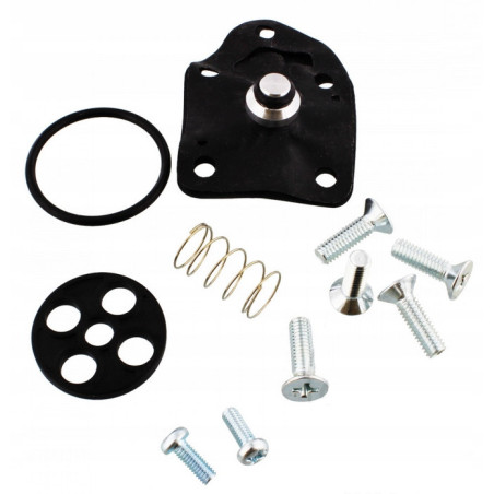 ZESTAW NAPRAWCZY KRANIKA KAWASAKI ER 500 ER500 TWISTER 1997 - 2006