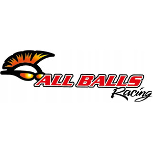 USZCZELNIACZE KAPTURKI TRIUMPH DAYTONA 955