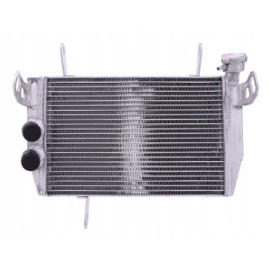 CHŁODNICA WODY NOWA DUCATI Hyperstrada 821 13 -15