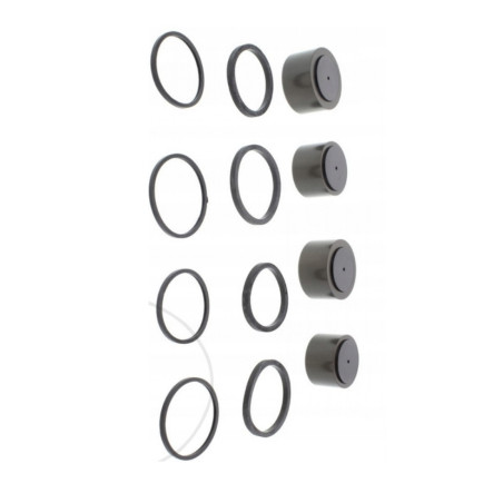 KOMPLET ZESTAW NAPRAWCZY ZACISKU HAMULCOWEGO BMW K1200 RS 2001 - 2005