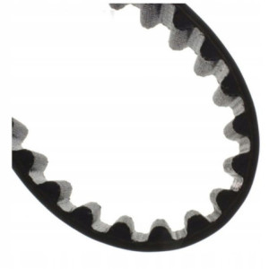 PAS PASEK ROZRZĄDU DUCATI SCRAMBLER 1100 2018 - 22