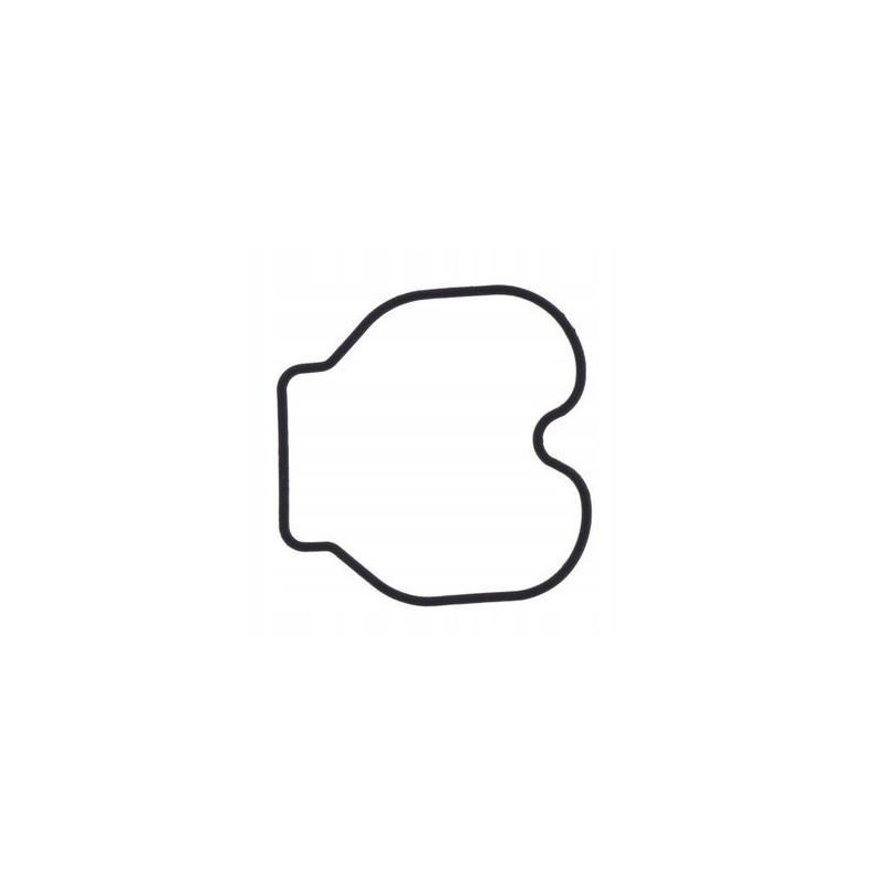 USZCZELKA KOMORY PŁYWAKOWEJ GAŹNIKA HONDA CBR 125 RW 2005 - 2006