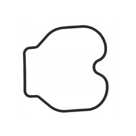 USZCZELKA KOMORY PŁYWAKOWEJ GAŹNIKA HONDA CBR 125 RW 2005 - 2006