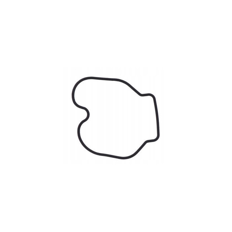 USZCZELKA KOMORY PŁYWAKOWEJ GAŹNIKA HONDA CBR 125 R RW RS