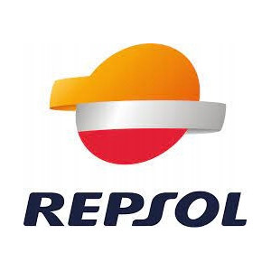OLEJ REPSOL SMARTER 10W40 JASO MA2 SYNTETYK 1L