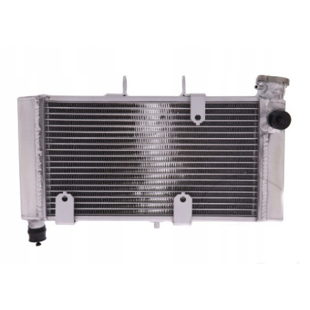 Chłodnica wody NOWA Honda NC750S NC 750 S 14-21