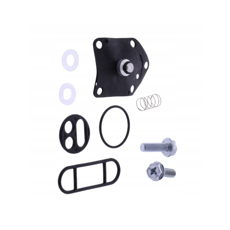 ZESTAW NAPRAWCZY KRANIKA TOURMAX DO MOTOCYKLA KAWASAKI KLR 650 KLR650 95-04