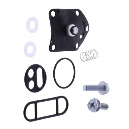 ZESTAW NAPRAWCZY KRANIKA TOURMAX DO MOTOCYKLA KAWASAKI KLE 500 KLE500 90-07